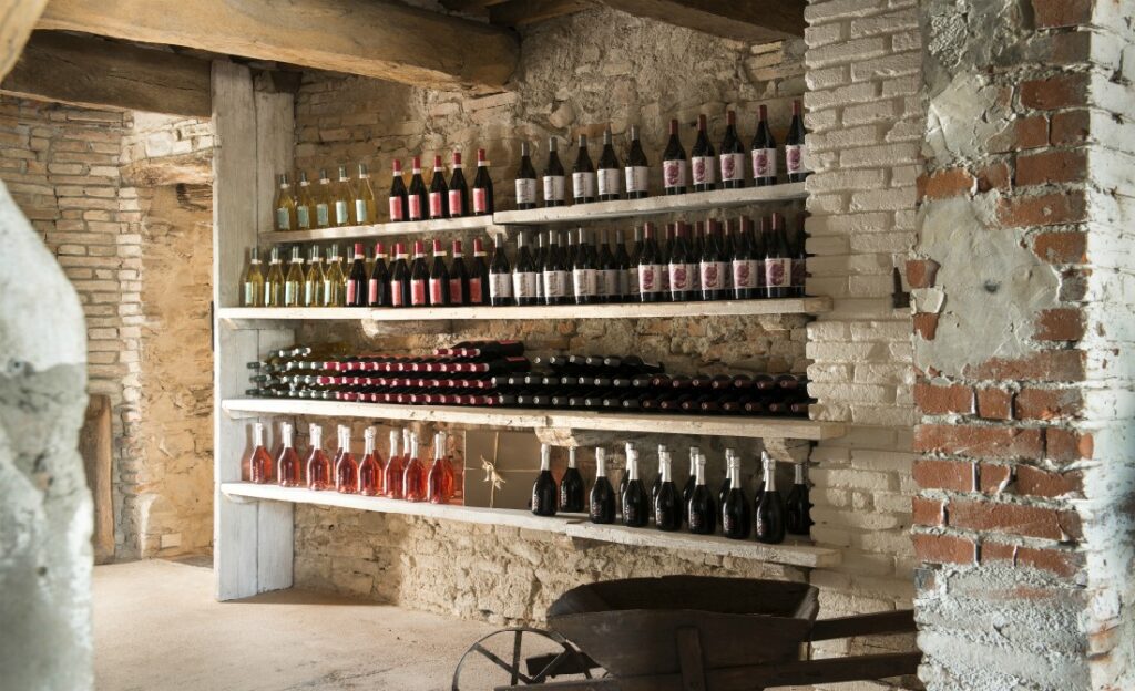 Tenuta-Santi-Giacomo-e-Filippo-vineria-cantina-vino