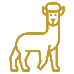 alpaca-icon