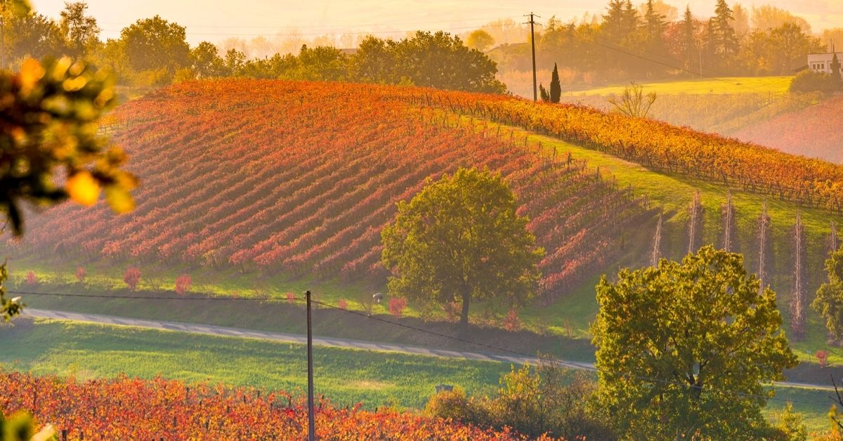 I colori dell’autunno in Riviera