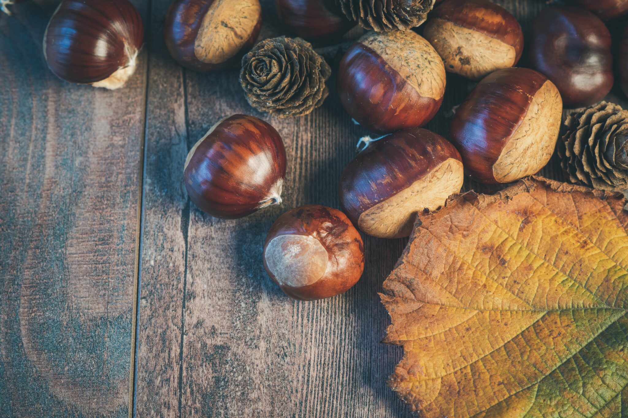 castagne-tavolo-autunno