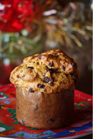 panettone-piccolino-small-size