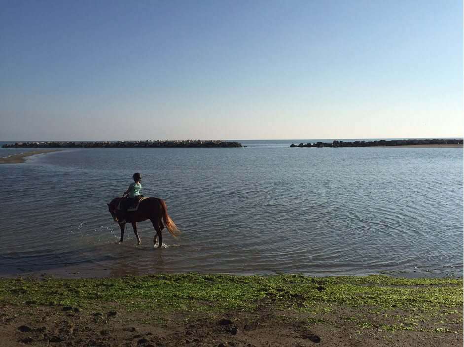 cavallo-vallugola-gabicce