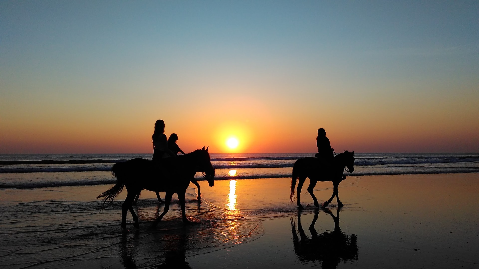 cavallo-riva-al-mare-attività-sportive-da-fare-in-riviera