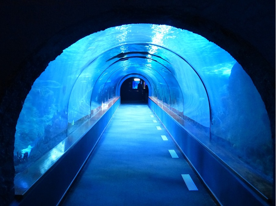 tunnel-sotto-acqua