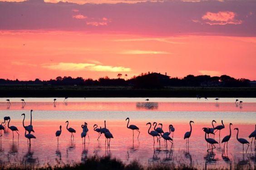 tramonto in Riviera saline Cervia