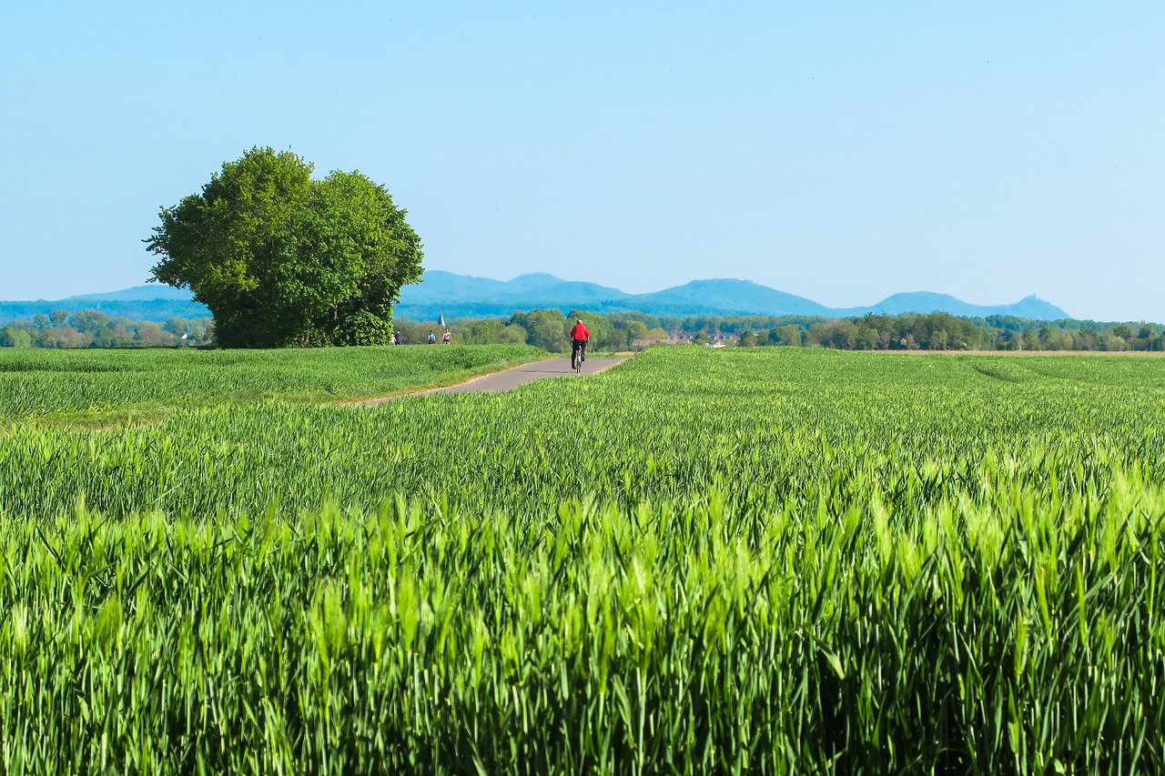 bici in primavera